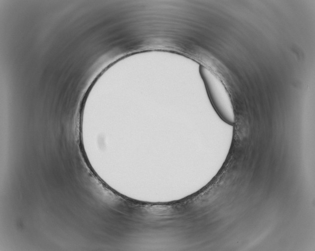 X0000111451140200908241200