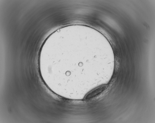X0000111451142200908241200
