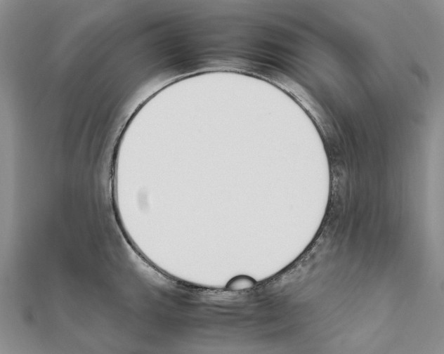 X0000111451143200908241200