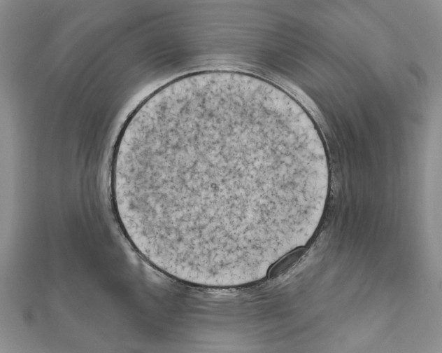 X0000111451144200908241200