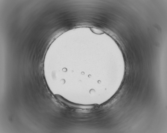 X0000111451145200908241200
