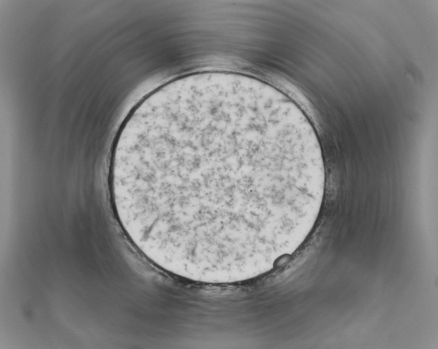 X0000111451146200908241200