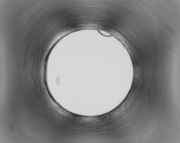 X0000111451147200908241200