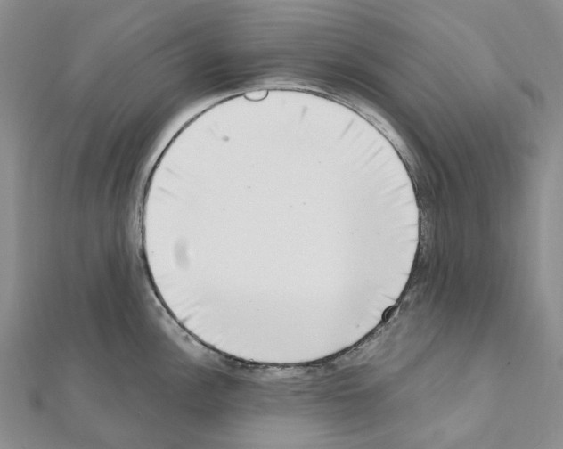 X0000111451148200908241200