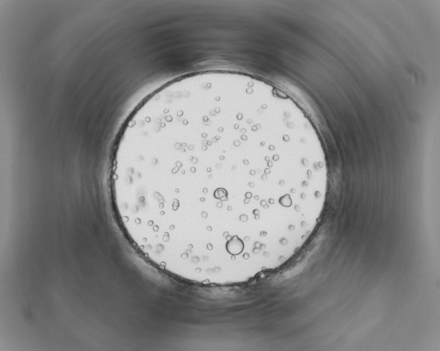 X0000111451149200908241200