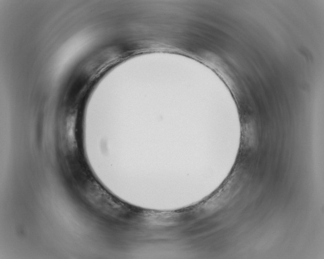 X0000111451150200908241200