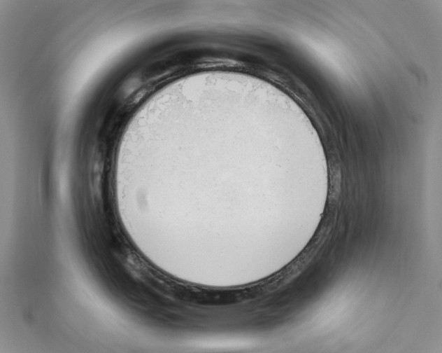 X0000111451151200908241200