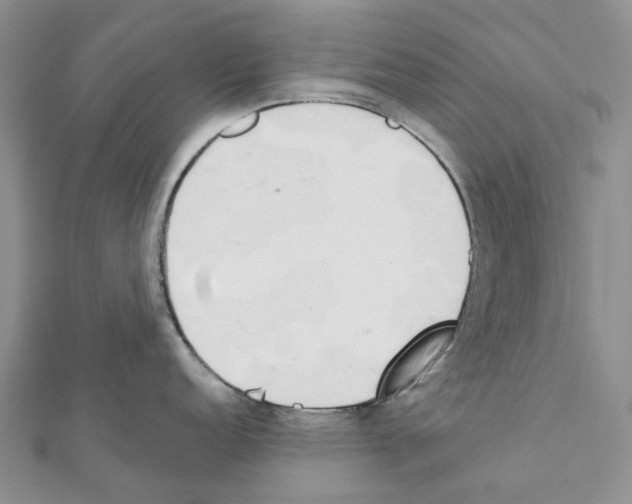 X0000111451152200908241200