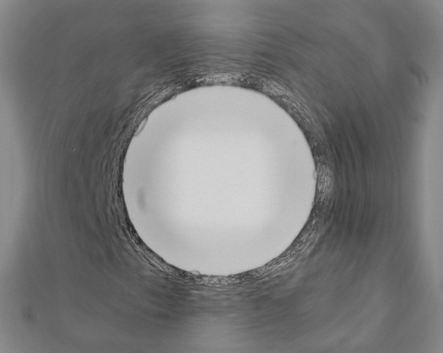 X0000111451153200908241159