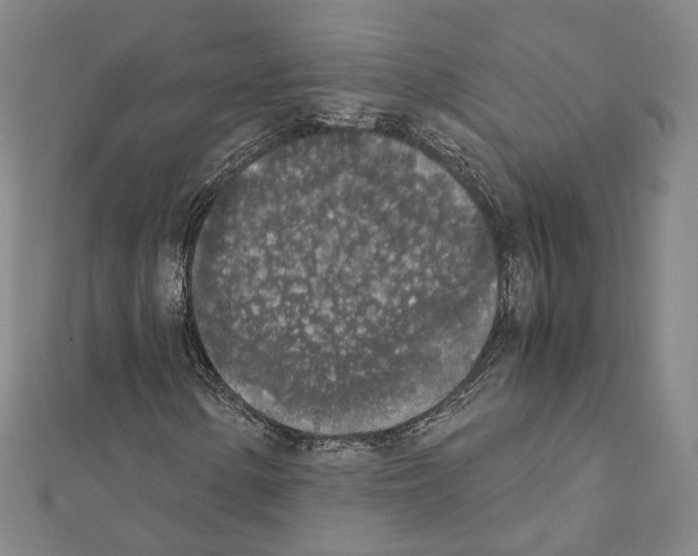X0000111451154200908241159
