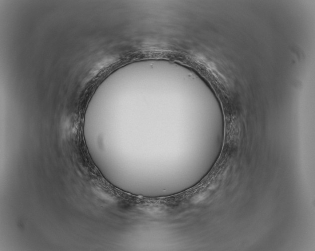 X0000111451157200908241159