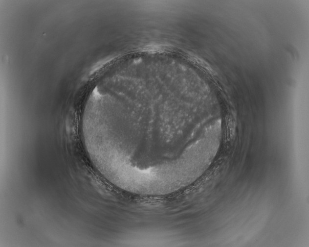 X0000111451158200908241159