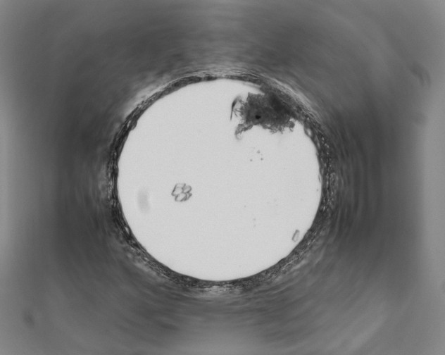 X0000111451160200908241159