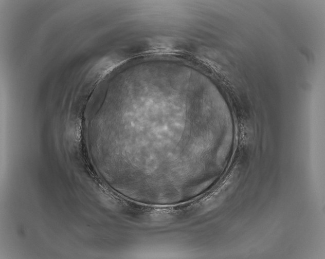 X0000111451161200908241159