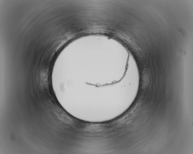 X0000111451162200908241159