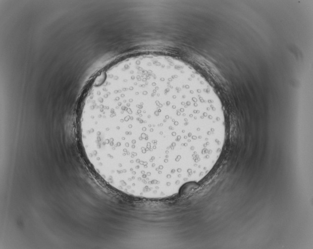 X0000111451164200908241159
