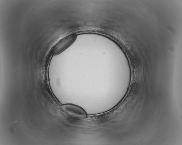 X0000111451165200908241159