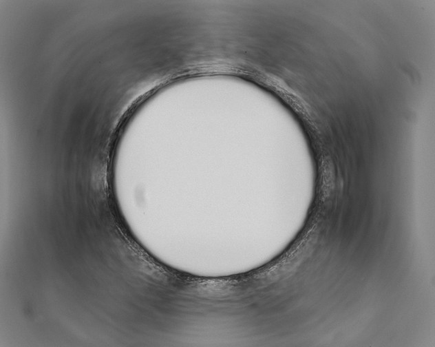 X0000111451166200908241159