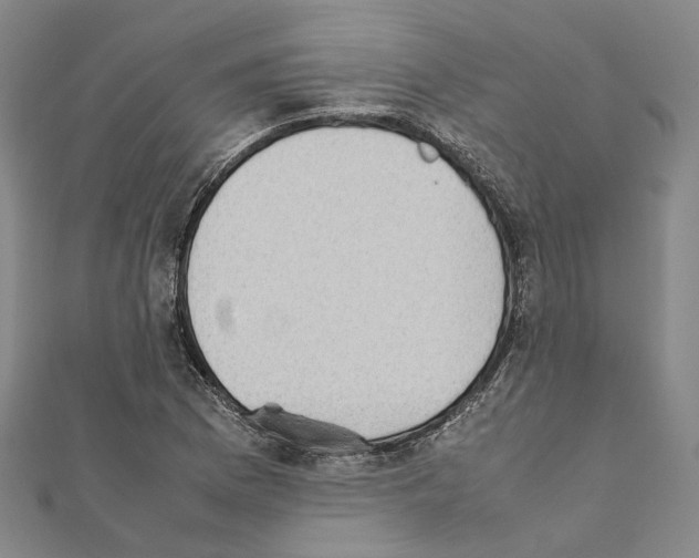 X0000111451169200908241159
