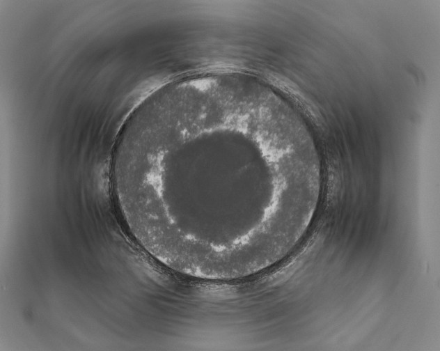X0000111451170200908241159