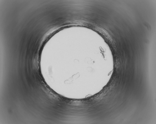 X0000111451172200908241159