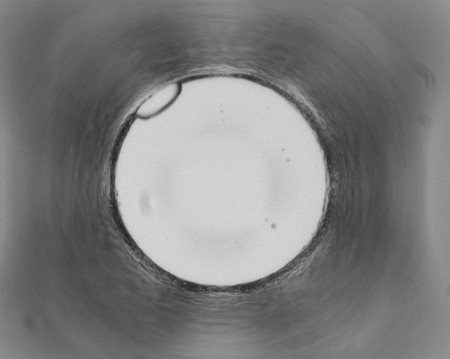 X0000111451173200908241159
