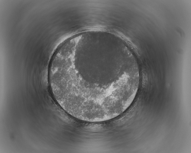 X0000111451174200908241159