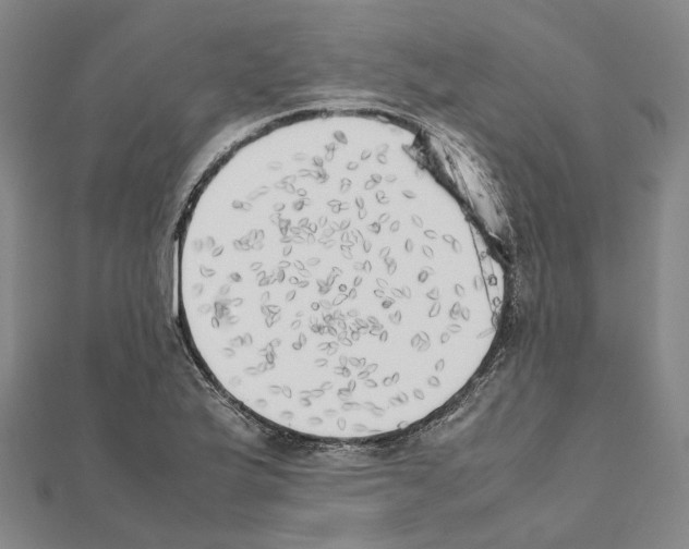 X0000111451175200908241159