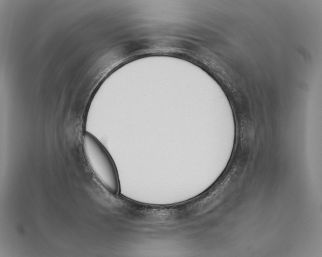 X0000111451177200908241159