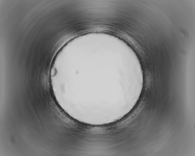 X0000111451178200908241159