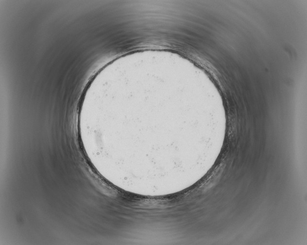 X0000111451179200908241159