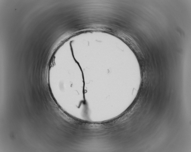 X0000111451180200908241159