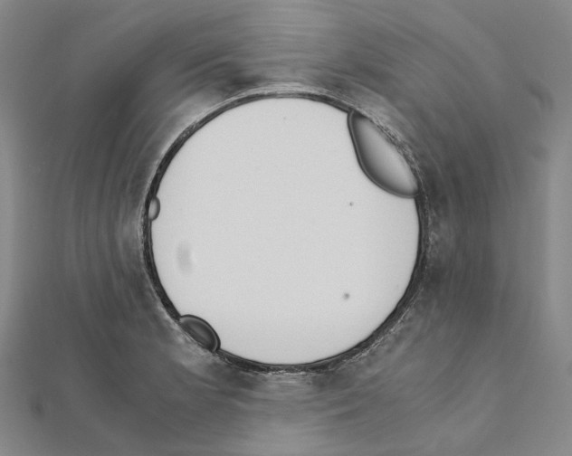 X0000111451181200908241159