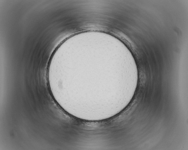 X0000111451182200908241159