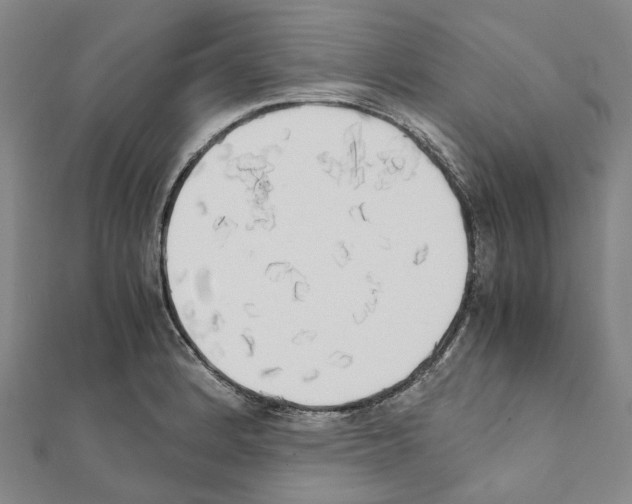 X0000111451184200908241159
