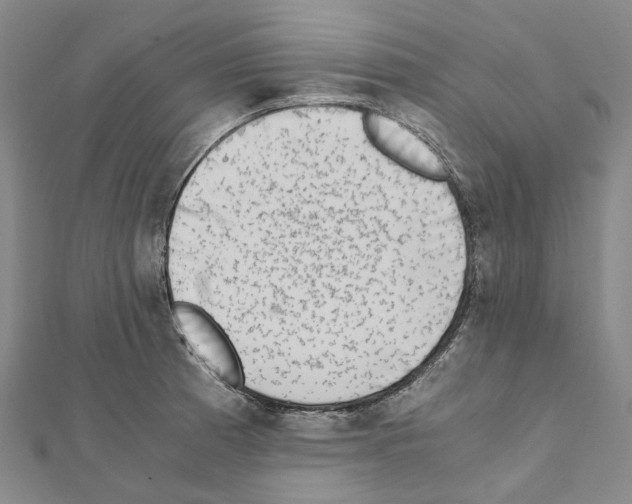 X0000111451185200908241159