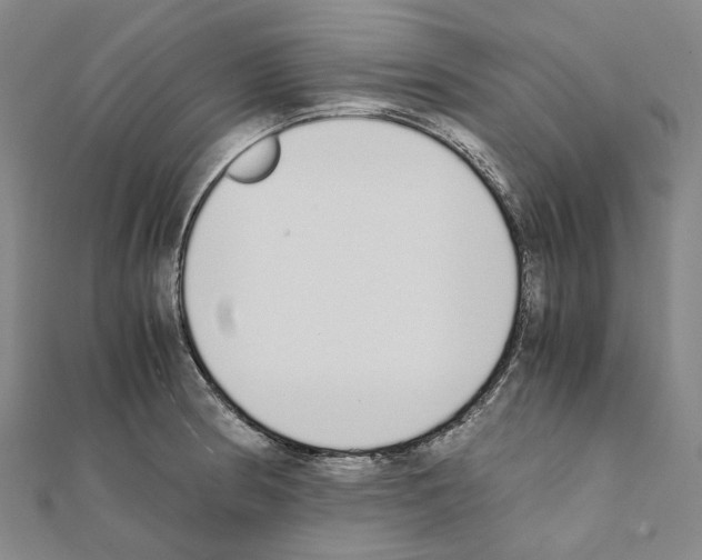 X0000111451186200908241159