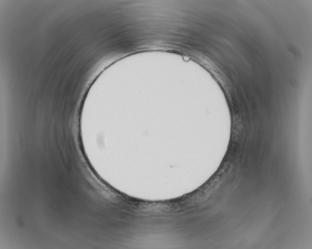 X0000111451187200908241159