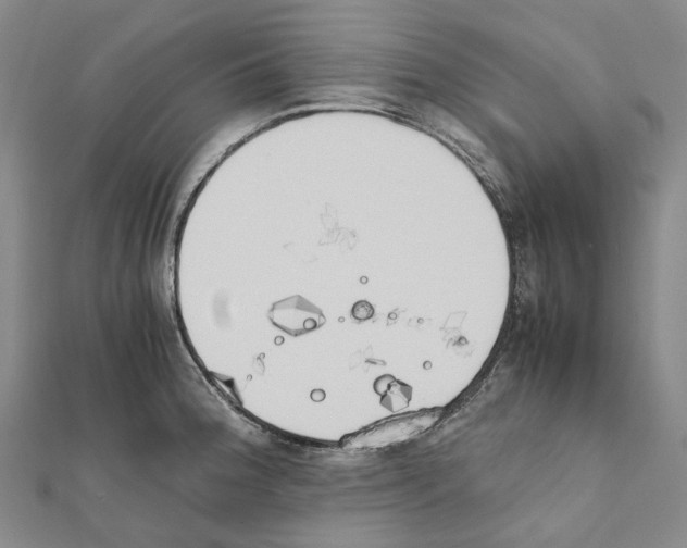 X0000111451188200908241159