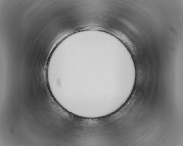 X0000111451190200908241159