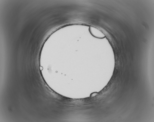 X0000111451191200908241159