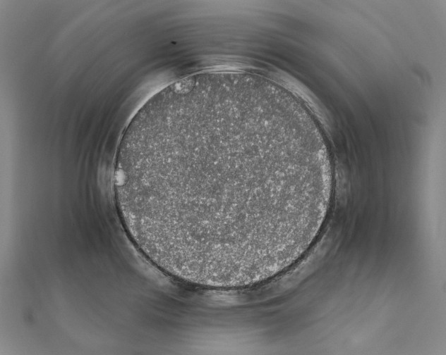 X0000111451194200908241159