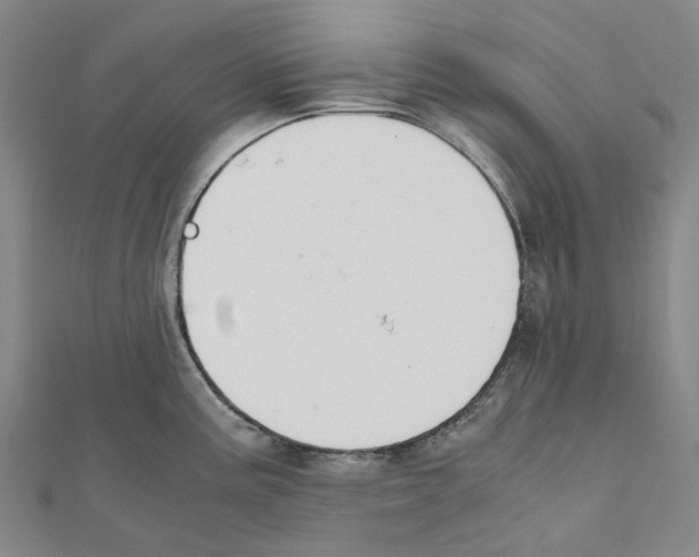 X0000111451195200908241159