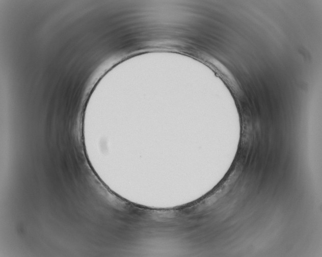 X0000111451196200908241159
