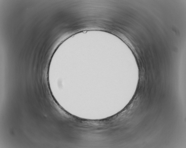 X0000111451197200908241159