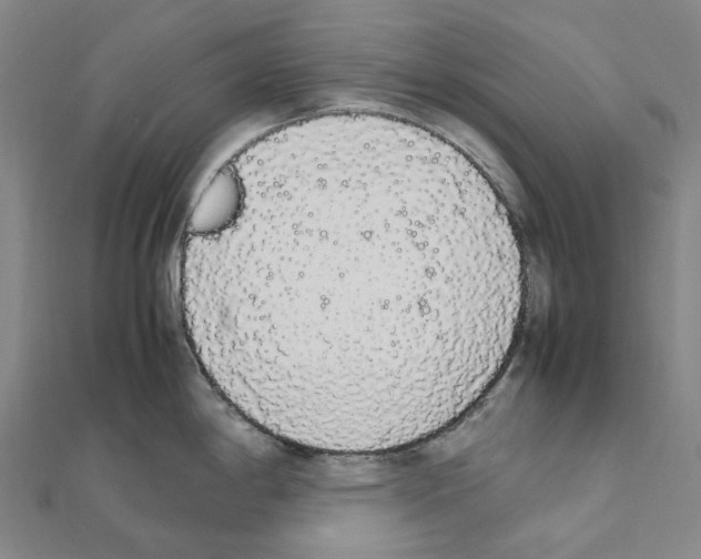 X0000111451198200908241159