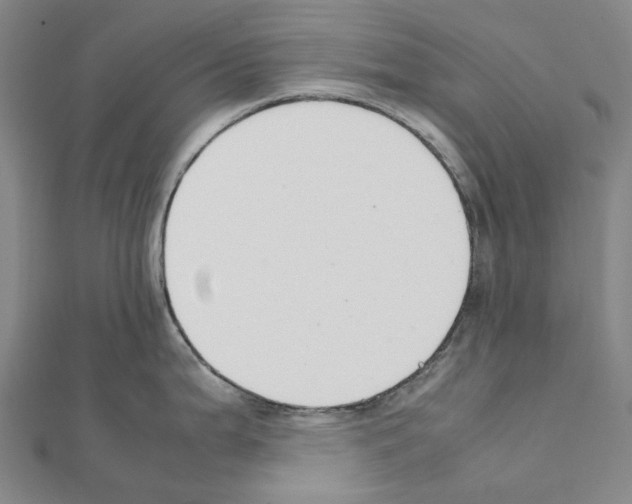 X0000111451199200908241159