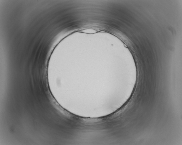 X0000111451200200908241159