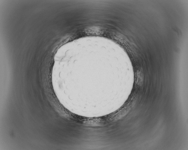 X0000111451201200908241158