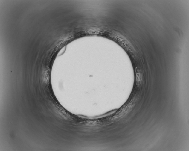 X0000111451204200908241158